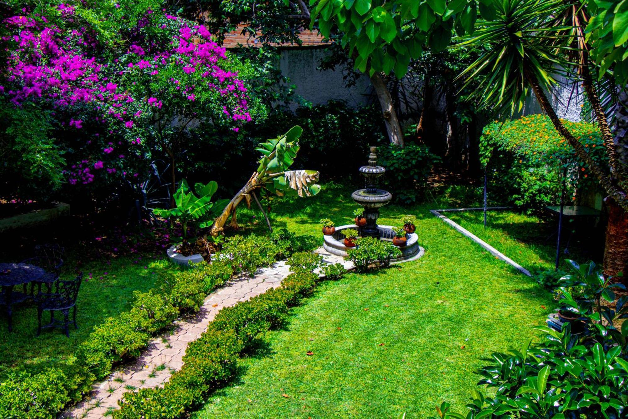 Posada Las Margaritas Tlaquepaque Dış mekan fotoğraf