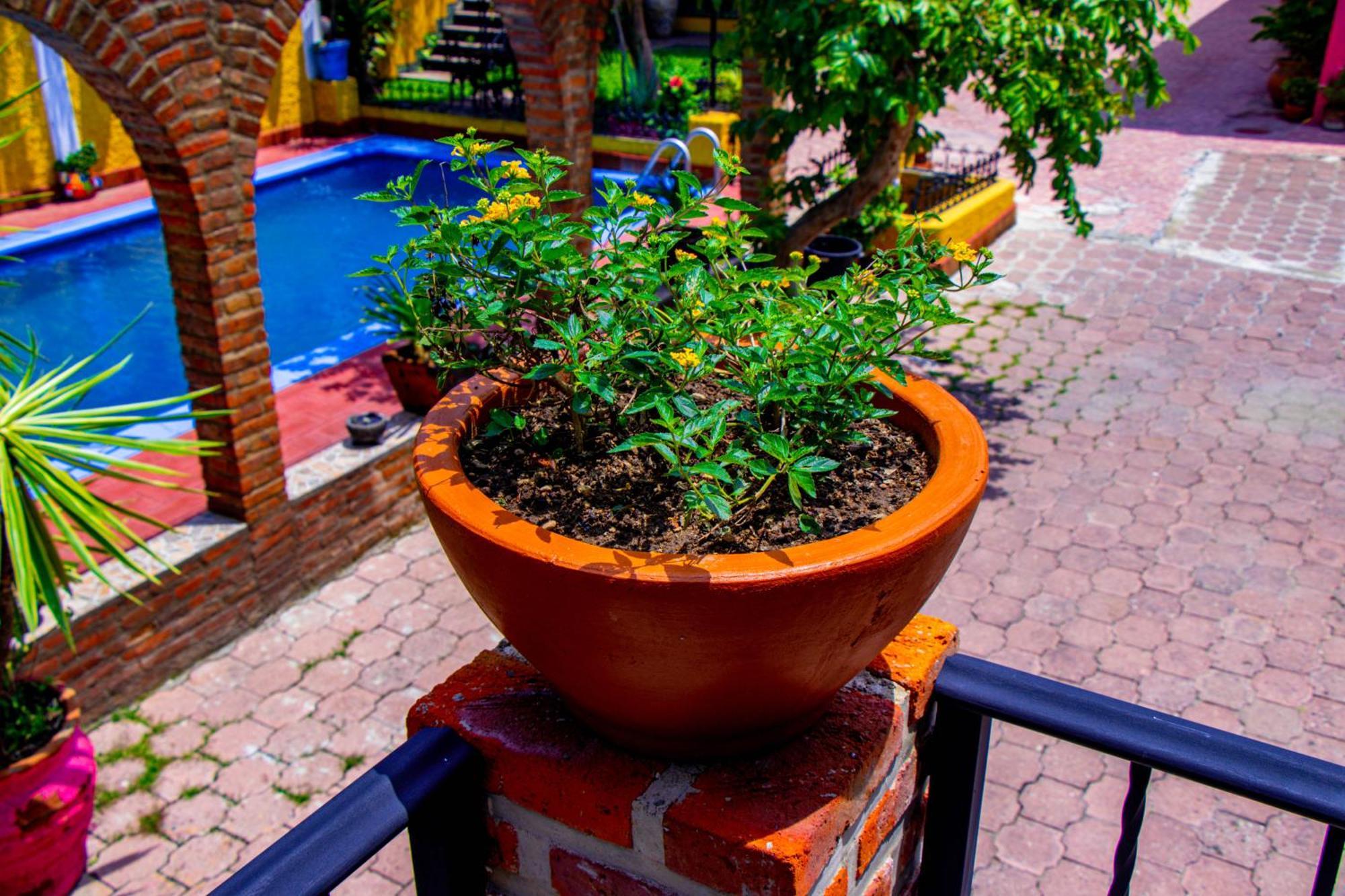 Posada Las Margaritas Tlaquepaque Dış mekan fotoğraf